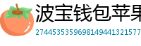 波宝钱包苹果版安装教程